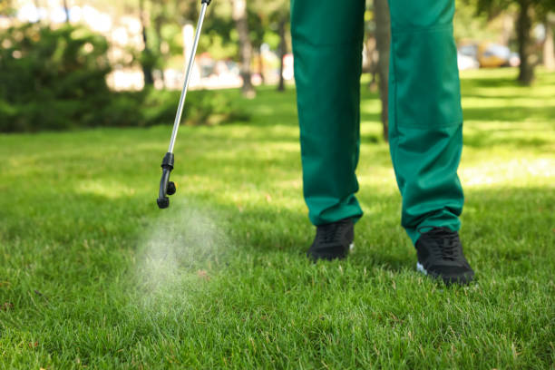 Best Residential Pest Control  in Pennsboro, WV