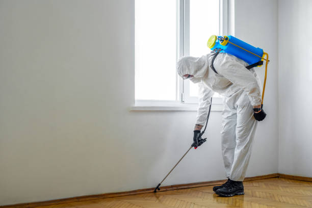 Best Commercial Pest Control Services  in Pennsboro, WV